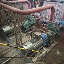 工礦(kuàng)業濃漿泵(bèng)
